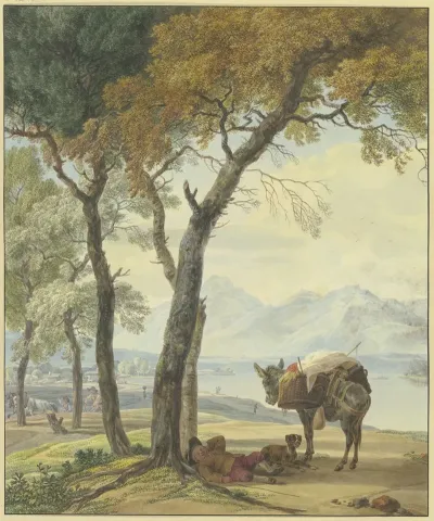 Schlafender Eseltreiber Unter Einer Baum An Einem See