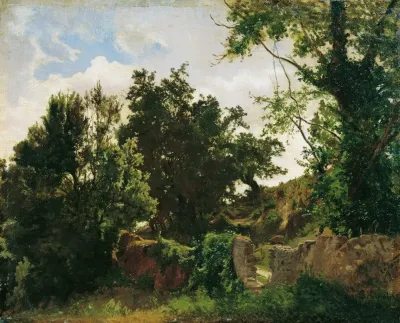 Schlossmauer In Plankenberg