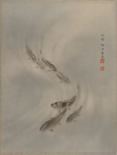 School Of Fishes