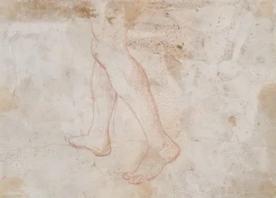 Schreitendes Beinpaar Fragment
