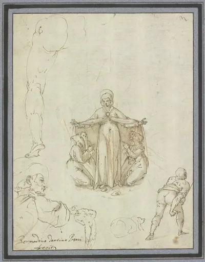 Schutzmantelmadonna Und Einzelstudien