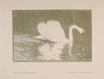 Schwan