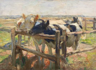 Schwarz Und Gelbschecke An Der Jungviehweide