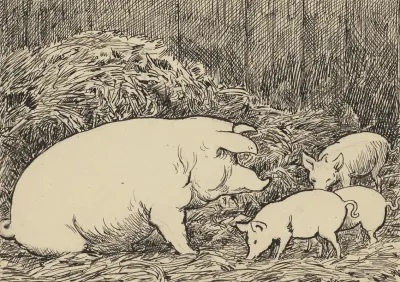 Schwein