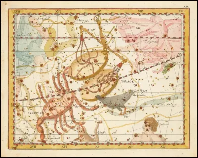 Scorpio Libra