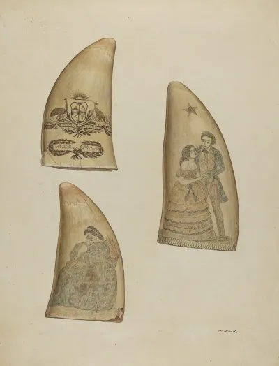 Scrimshaw 3