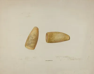 Scrimshaw Walrus Tusk