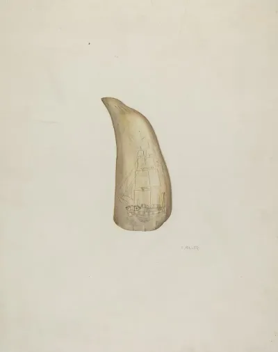 Scrimshaw