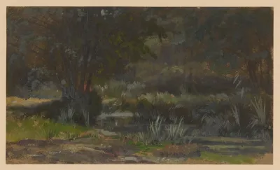 Scrub By The River Barycz