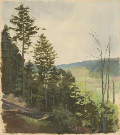 Scrub Hill