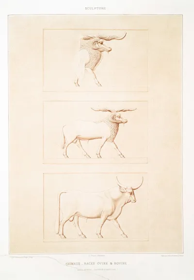 Sculpture Animaux Races Ovine Bovine Musee Du Kaire Grandeur Dexecution