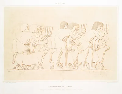 Sculpture Denombrement Des Boeufs Tombeau Dee Chamhati Intendent Des Domaines Xviiie