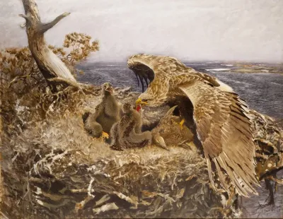 Sea Eagles Nest