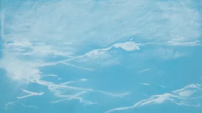 Seagull And Waves