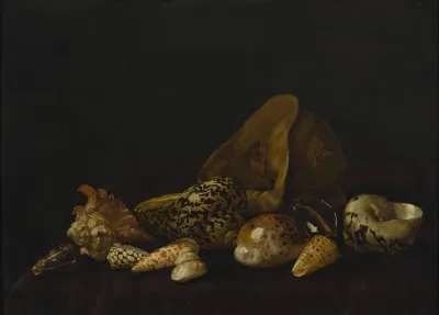 Seashells In A Purple Tapestry