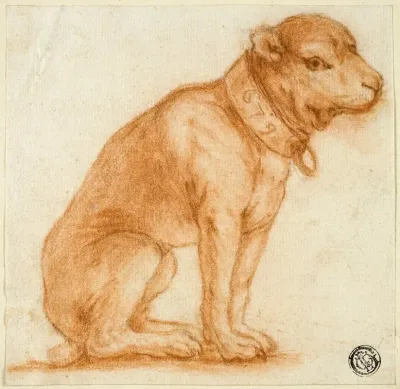Seated Dog With Collar