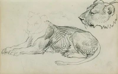 Seated Lion Head Of Lioness