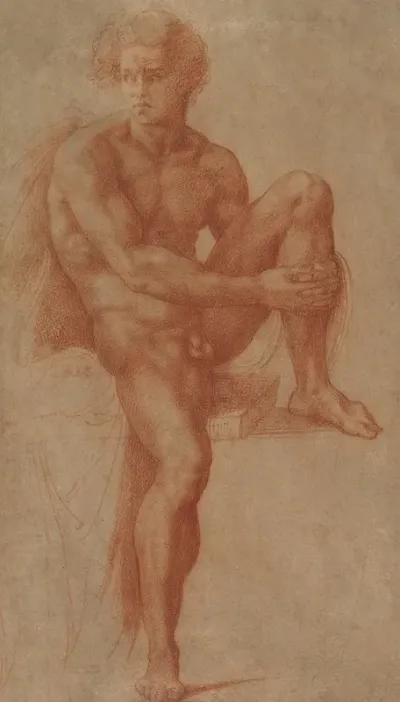 Seated Male Nude