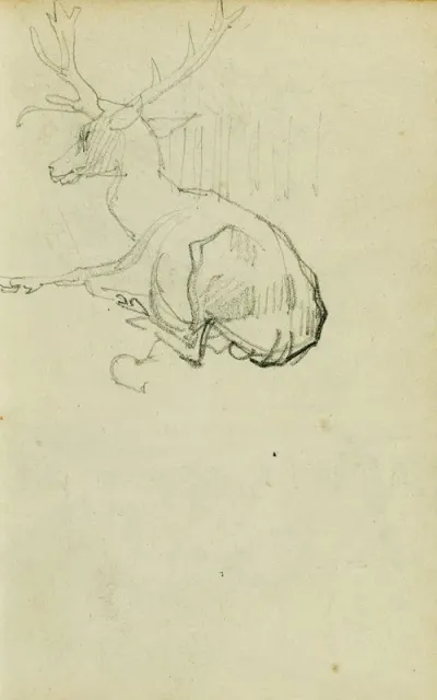 Seated Stag