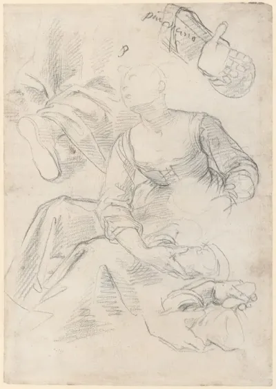 Seated Woman With Studies Of Arms And Legs