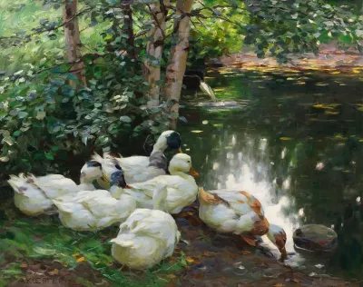Sechs Enten Am Teichufer