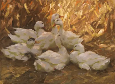 Sechs Enten Im Stroh