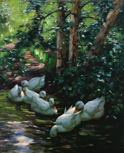 Sechs Enten Im Wasser 2