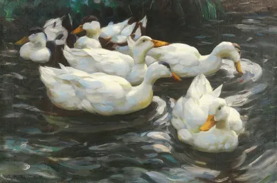 Sechs Enten Im Wasser