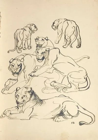 Sechs Pumas