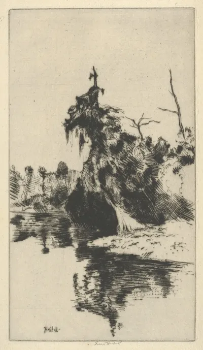 Secret Of The Seminole