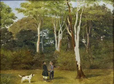 Selecting Trees For Felling