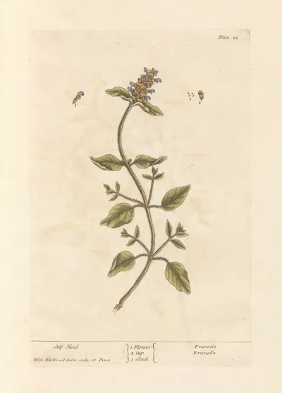 Self Heal