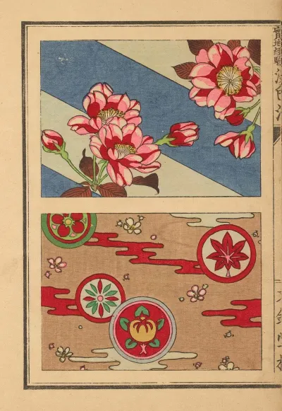 Senshokuho Shinhatsumei Jitchi Keiken Pl 03