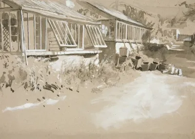 Shacks And Shrubs