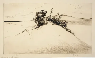 Shadows On The Dunes