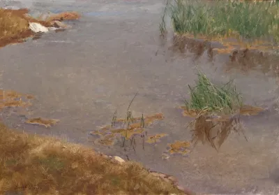 Shallow Water
