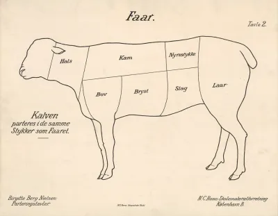 Sheep 16