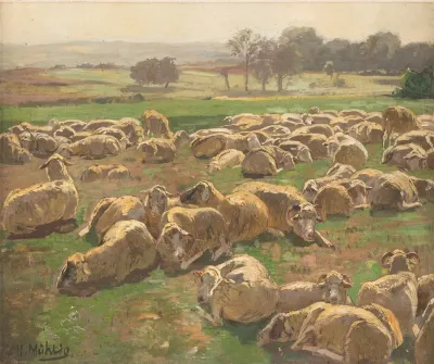 Sheep 5