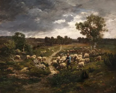 Sheep 6
