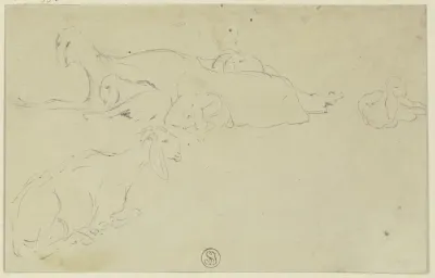Sheep 7