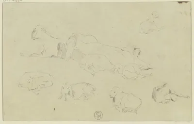 Sheep 8