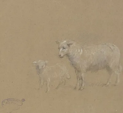 Sheep And Lamb