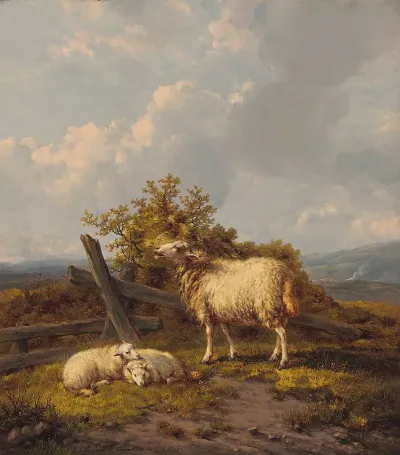 Sheep And Lambs In A Pasture
