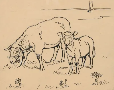 Sheep Grazing 2