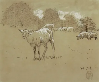 Sheep Grazing In A Field