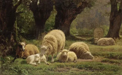 Sheep Grazing In A Wooded Clearing