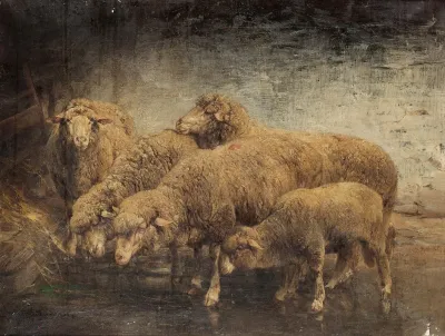 Sheep In A Barn