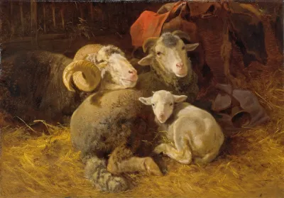 Sheep In The Stable