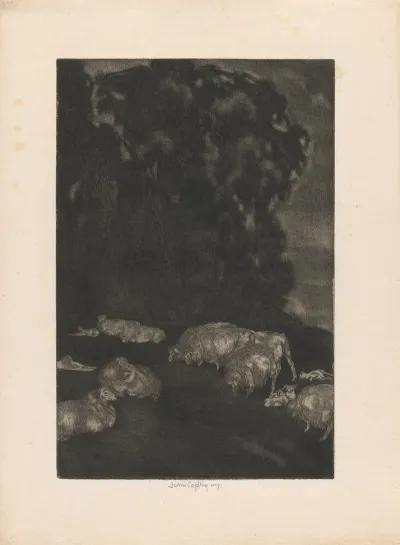 Sheep In Twilight