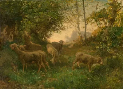 Sheep On The Fringe Of The Wood